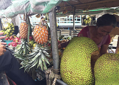 Fresh Pineapple