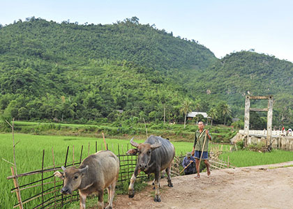 Rustic and Pastoral Village