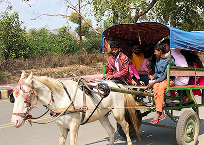 Agra Horse-driven Carriage