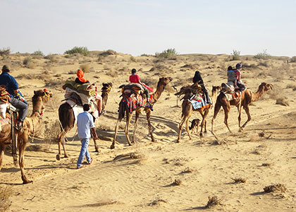 Camel Safari