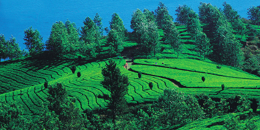 Darjeeling