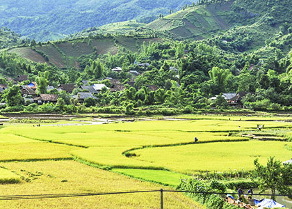 Beautiful Landscape