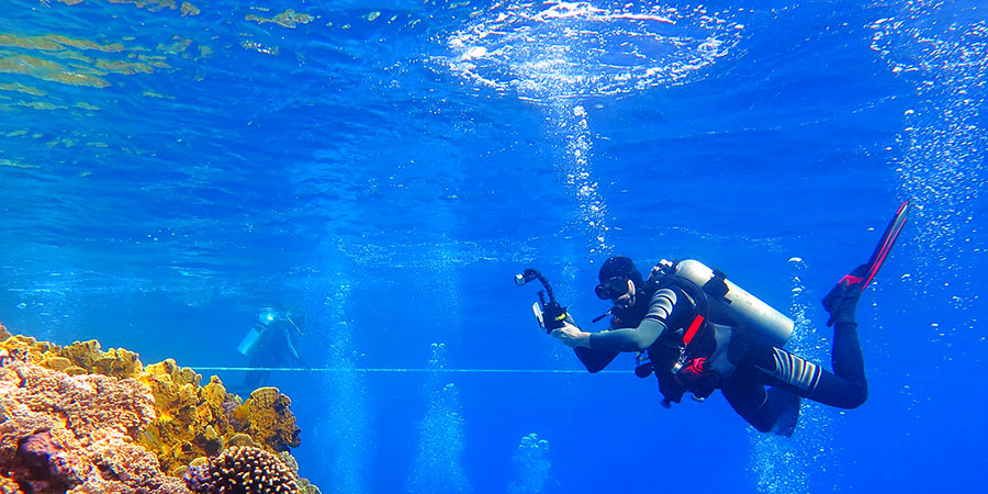 Dive in Red Sea in Hurghada
