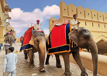 Amber Fort, Jaipur