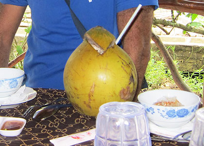 Fresh Coconut