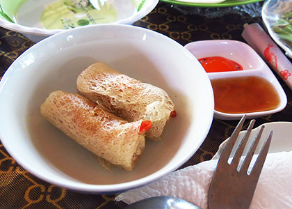 Fried Spring Rolls