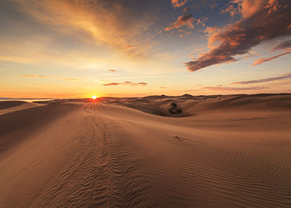 Gobi Desert, Mongolia