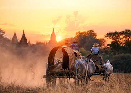 Horse Carriages , Myanmar