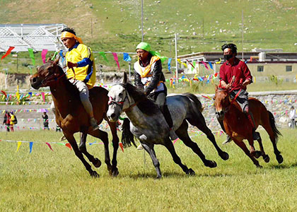 Horse Racing, Mongolia
