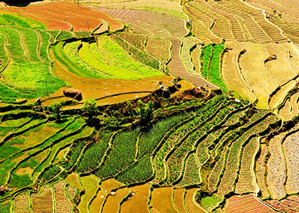 Picturesque Idyllic Landscape, Bhutan