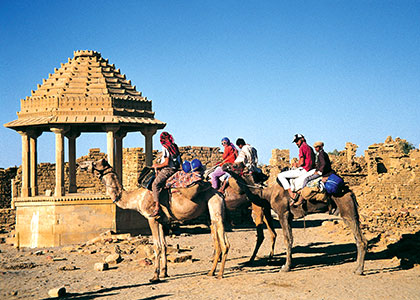 Camel Safari