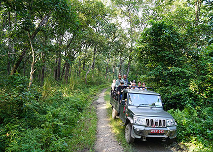 Jeep Safari, Jaipur