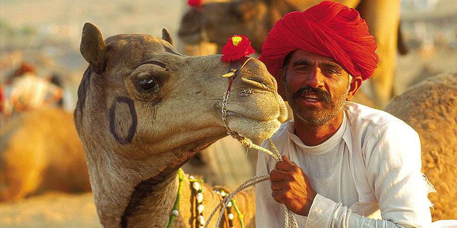Jodhpur Day Tour with Camel Safari