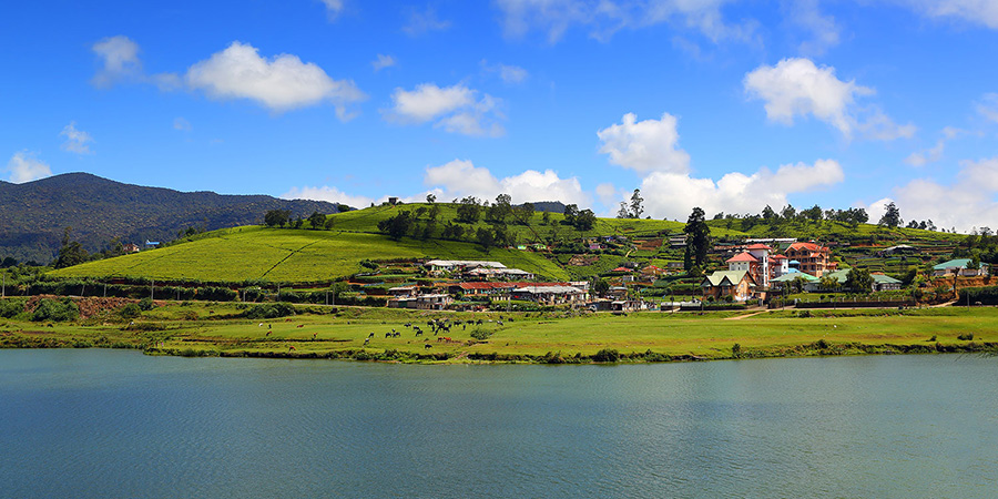 Landscape with Gregory Lake in Nuwara Eliya
