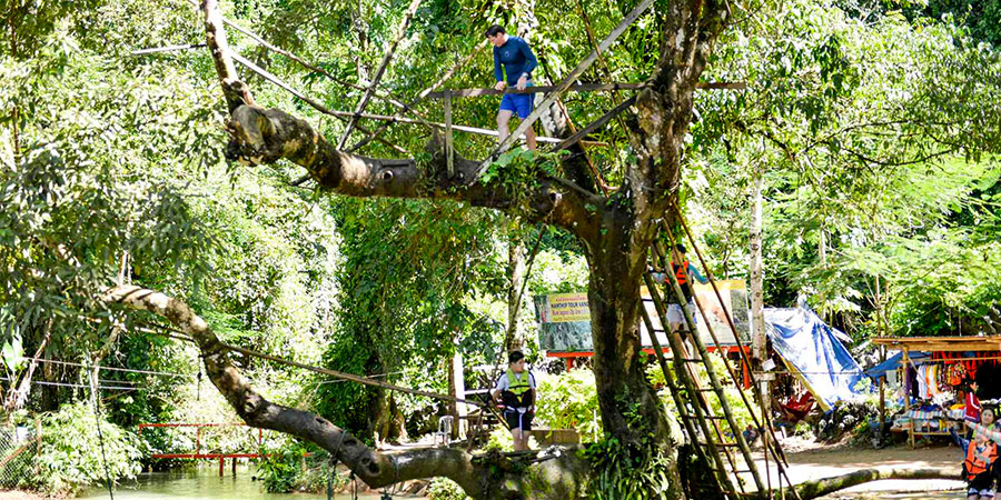 Local  residents do their work in the tree