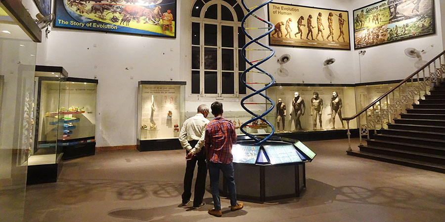 Visit Interesting Museums
