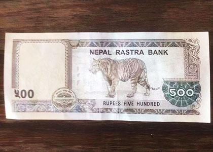 Nepal Currency