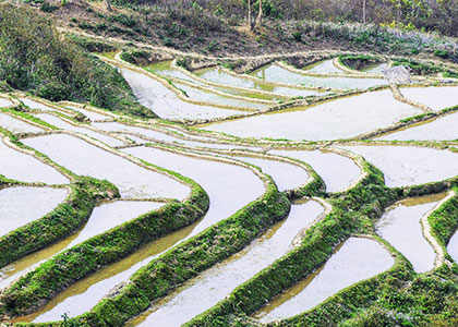 Rice Paddies and Waterways, Vietnam