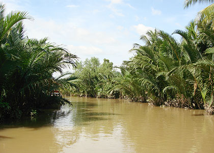 River of Mekong Delta