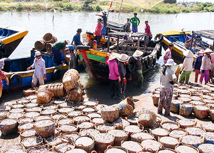 Riverside, Mekong Delta