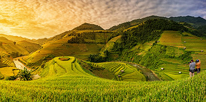 Sapa Terrace Fields