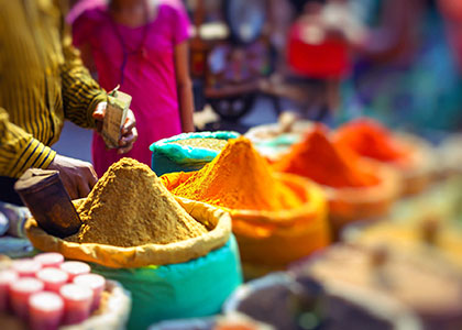 Spice in India