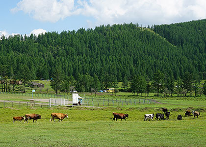 Terelj National Park