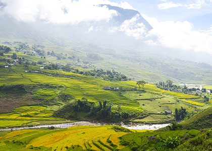 Sapa Terrace Rice Fields