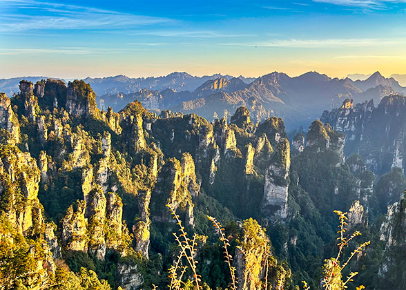Tianzi Mountain Nature Reserve