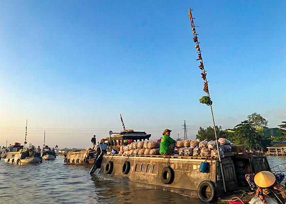 Cai Rang Floating Market