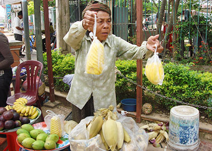 Cambodian Fruits