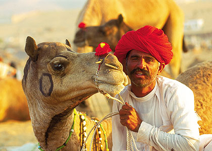 Camel Fair, Rajasthan
