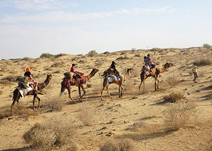 Desert National Park