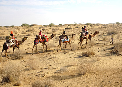 Camel-ride in Sam Sand Dunes