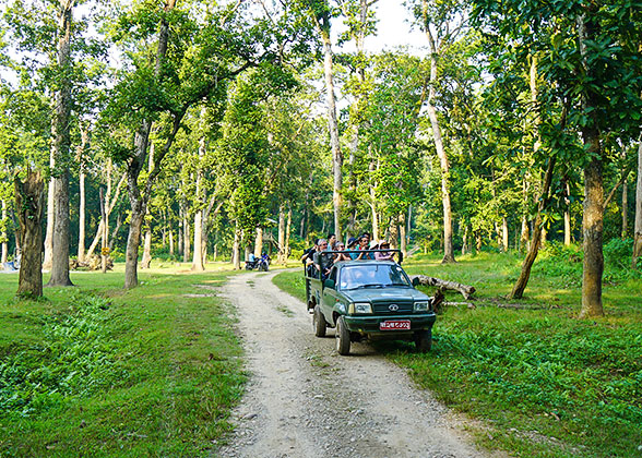 Chitwan Jeep Safari
