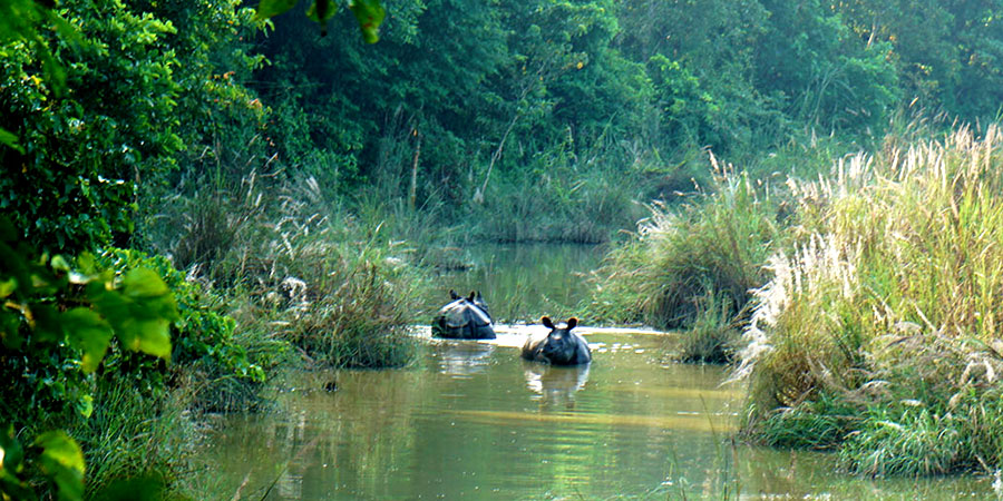 Chitwan National Park, Chitwan
