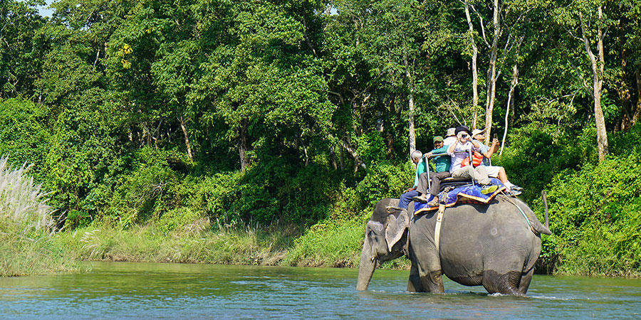 Chitwan National Park, Nepal