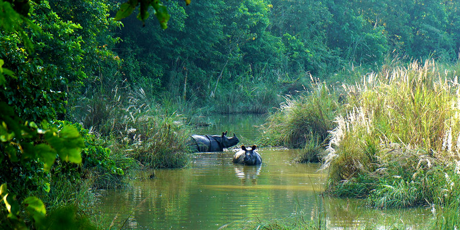 Chitwan