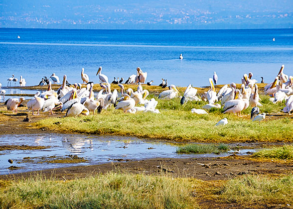 Crater Lake in Fort Portal