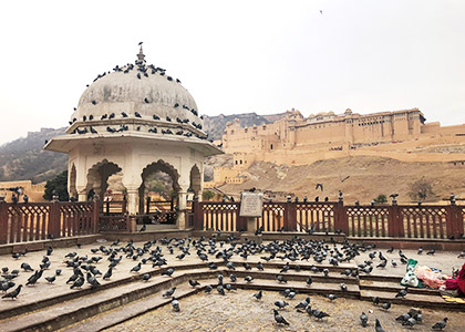 Distant View of Amber Fort