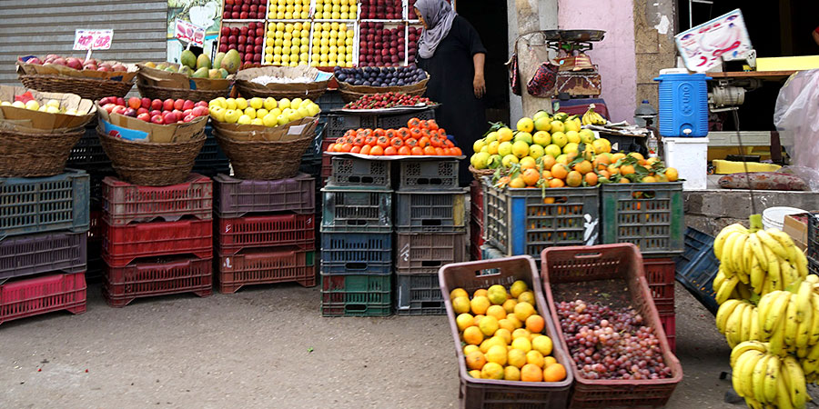 Egypt Fruits
