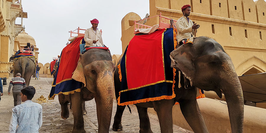 Elephant Ride at Amer Fort