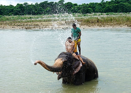Elephant Village, Jaipur