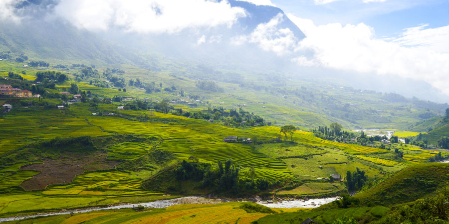 Rice Fields, Mu Cang Chai