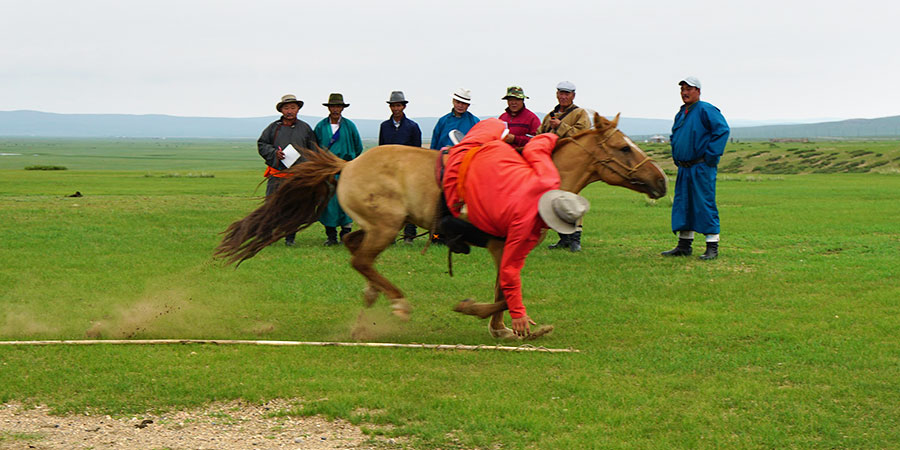 Horse Racing