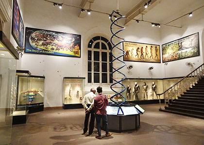 Indian Museum (Jadu Ghar), Kolkata