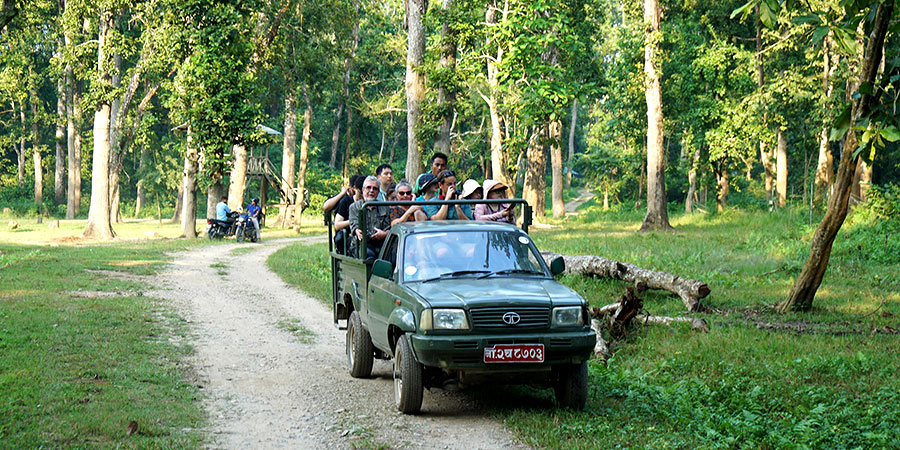 Jungle and Wildlife in Nepal