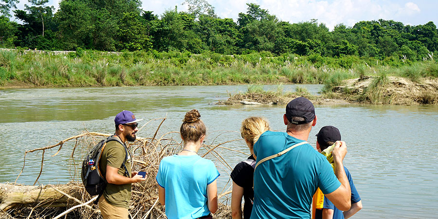 Jungle Safari in Bandipur