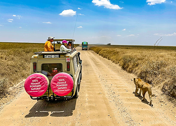 Game Safari in South Africa