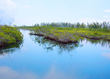 Lucayan National Park